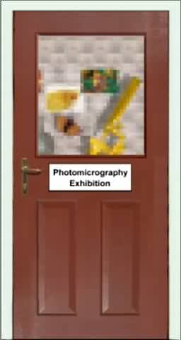 Click to view the Photomicrography Exhibition